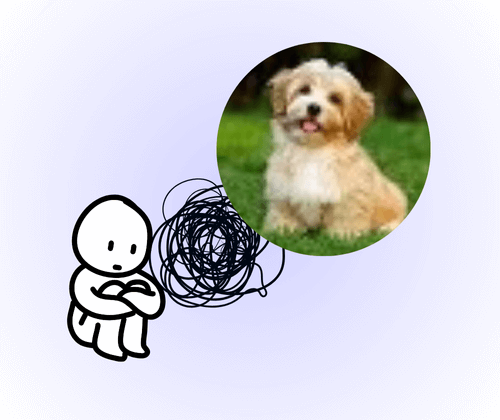 Why You Need 4K Image Upscaler