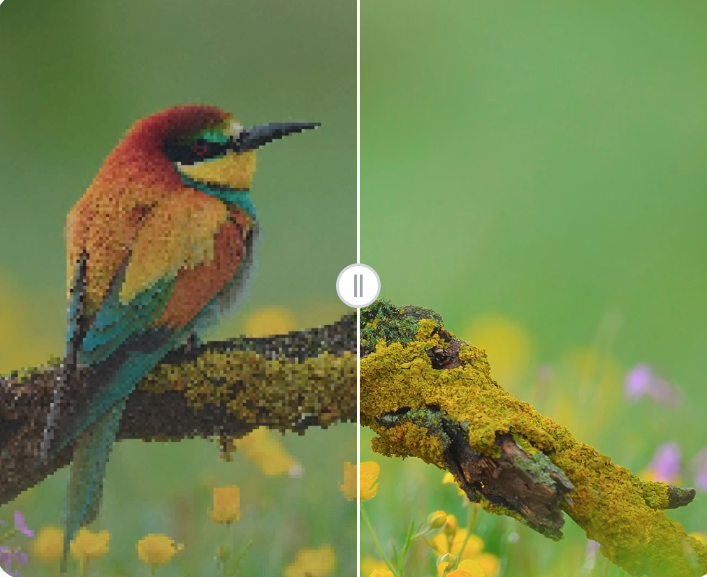 Step 4: Process, Preview, and Download 