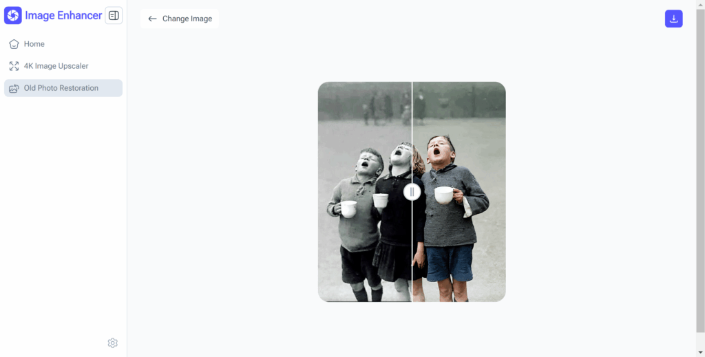 Optional: Colorize Black & White Photos