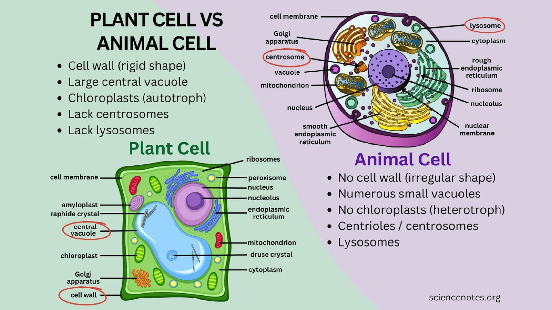 AI Text Enhancer Sample: - Image Enhancer