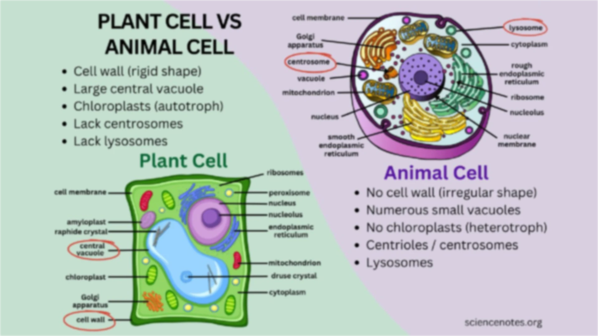 Make text in images sharper and more readable, perfect for scanned files or screenshots.